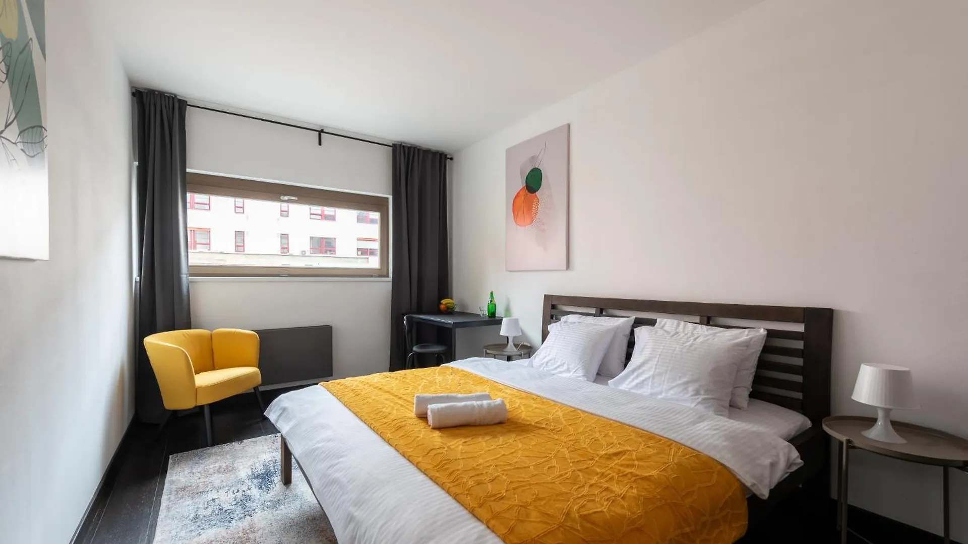 Spacious Apartments Near Karlin Square Praga
