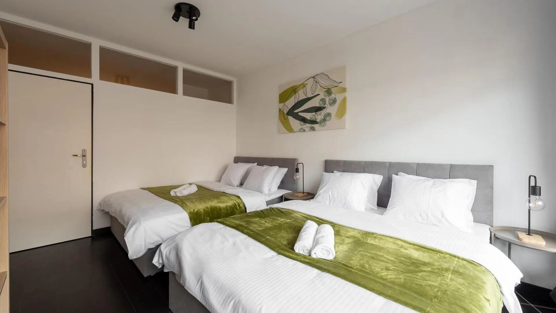 Spacious Apartments Near Karlin Square Praga
