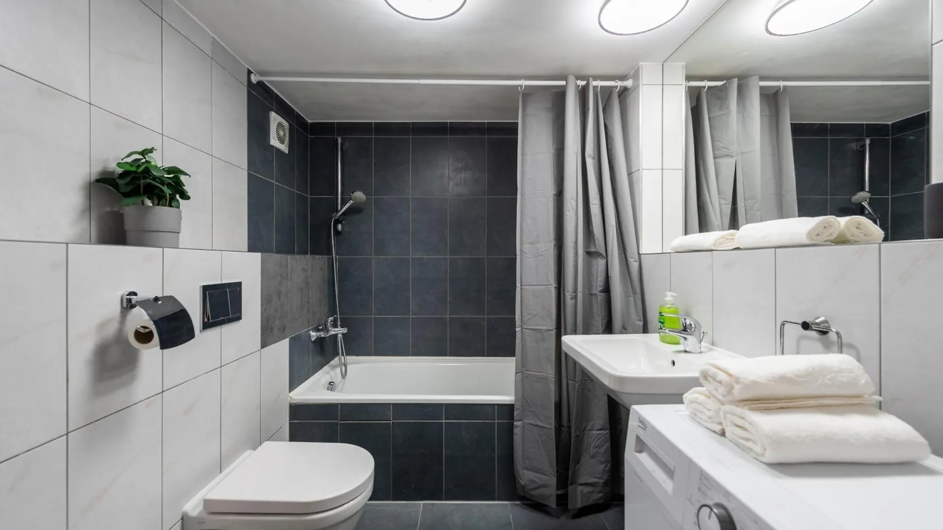 Spacious Apartments Near Karlin Square Prag
